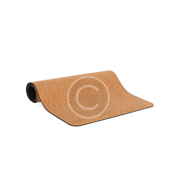 Fitness Tracker - Image 3